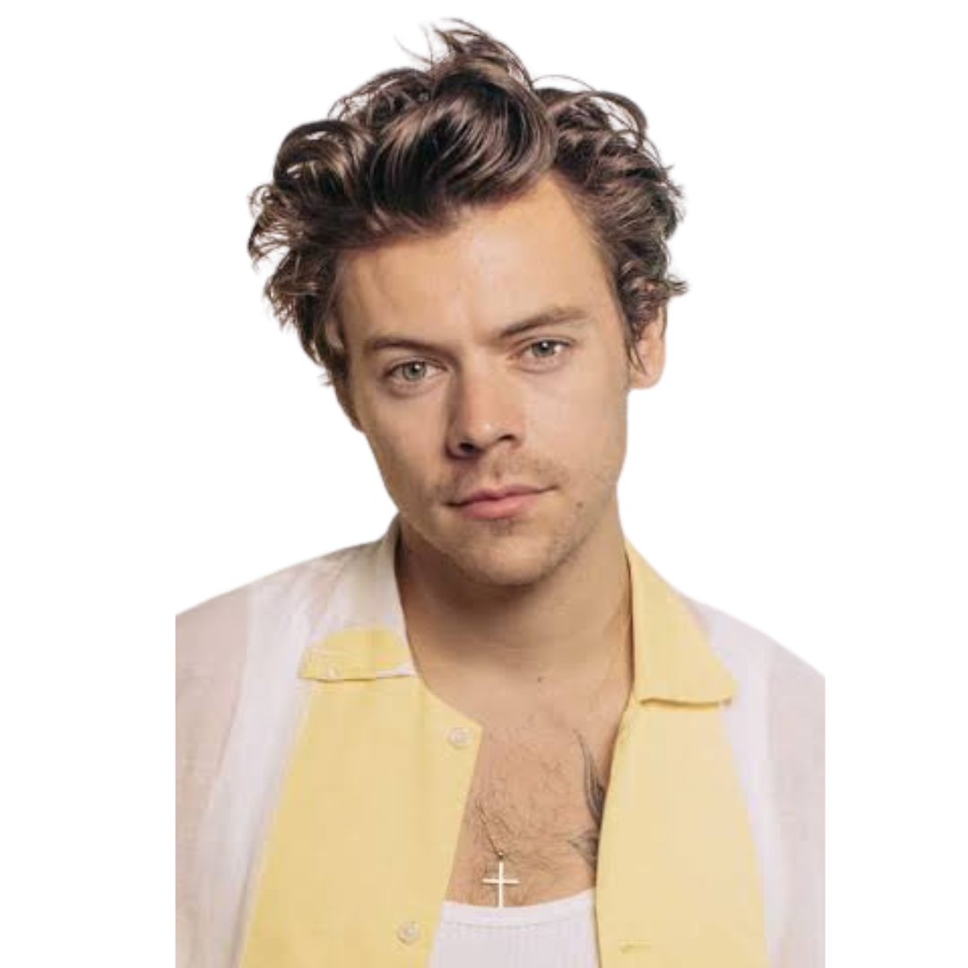 HARRY STYLES